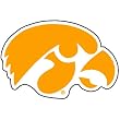 Iowa Hawkeyes NCAA Precision Cut Magnet by Wincraft
