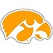 Iowa Hawkeyes NCAA Precision Cut Magnet by Wincraft
