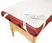 Master Massage UL Listed Massage Table Warmer