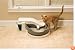 PetSafe Simply Clean Continuous-Clean Litter Box