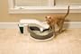 PetSafe Simply Clean Continuous-Clean Litter Box