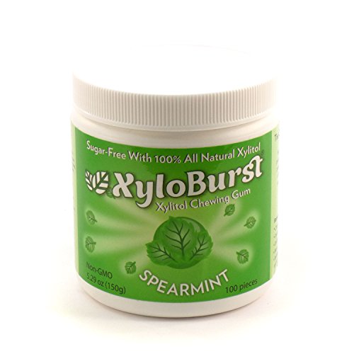 Xyloburst Spearmint Gum 100 Count Jar (5.29oz) 2-Pack