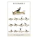 Exercise Poster, Reformer I