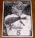 St. Louis Cardinals Albert Pujols Montage