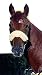 Sports : DMS-Lammfell-Genickschoner 32 cm