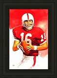 Stanford Cardinal Framed Jim Plunkett Stanford Cardinal By Jim Mellett NCAA College Athletics
