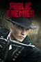 Public Enemies