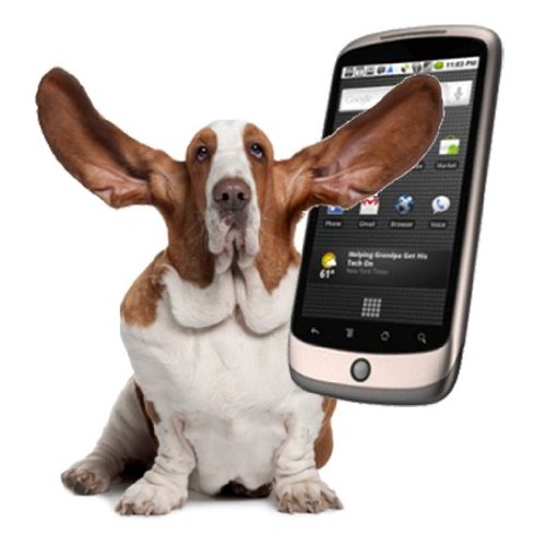 Dog Ringtones