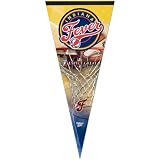 Wincraft WNBA Indiana Fever 17x40 Pennant