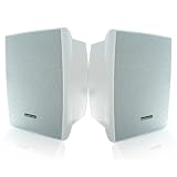 Acoustic Audio AW650W 800 Watt Pair 6.5