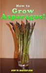 How to Grow Asparagus! (How-To Mastery)