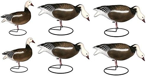 Dakota Decoy 12350 X-Treme Blues Premium Blue Phase Snow Goose Hunting 6 Pack