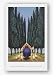Cypress & Geese by Lowell Herrero 12"x18" Art Print Poster