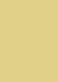 Dimensions Oversized Color Sample - Polenta