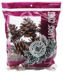 Bulk Buy: Winter Woods Ponderosa Pine Cone 1/Pkg-Natural (3-Pack)