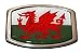 FF81 Wales Flag Celtic Belt Buckle