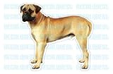 BULLMASTIFF - Dog Decal - sticker car got bull mastiff