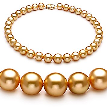 PearlsOnly Gold 12-15mm AAA+ Südsee Perle Halskette PearlsOnly Gold 12-15mm AAA+ Südsee Perle Halskette