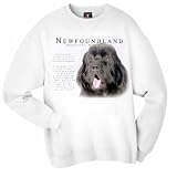 Newfoundland BLACK Human Trainer Adult Sweatshirt