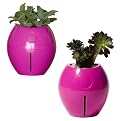 Grobal Self-Watering Pots - Bubblegum