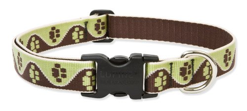 Lupine 1 Inch Large Dog Adjustable Collar-Mud Puppy Pattern- 16" to 28"