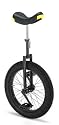Einrad 20" Big Tire m. Gelände