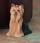Figurine, Dog - Yorkshire Terrier