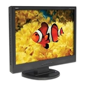 NEC AccuSync 24WMCX 24 LCD Monitor by NEC