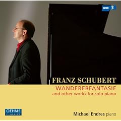 Wanderer-Fantasie/+