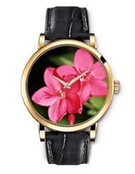 SPRAWL Aanalog Fashion Series Gold Ladies Watches of Genuine Black Leather Strap,Unique Wrist Watch for Women Girls Designed with red Flowers