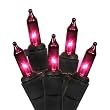 Set of 100 Purple Mini Christmas Lights - Black Wire