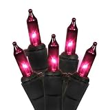 Set of 100 Purple Mini Christmas Lights - Black Wire