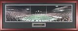 Michigan State Spartans - End Zone vs Notre Dame - Framed Unsigned Panoramic Photograph