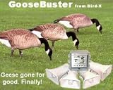 Tools & Hardware : Bird-X GB Goose Buster