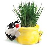 Chia Cat Grass Planter