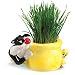 Chia Cat Grass Planter