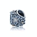 Pandora SC 790540