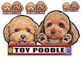 犬ステッカー トイプードル121 シール雑貨グッズ プードル