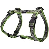 Rogz Fancy Dress Medium 5/8-Inch Scooter Adjustable Dog H-Harness, Lime Bone Design
