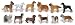 Safari LTD Dogs Toob