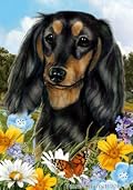 Dachshund Black/Tan Longhair Dog - Tamara Burnett Summer Flowers House Dog Breed Flag 28'' x 40''