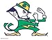 WinCraft Notre Dame Ultra Decal