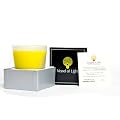 Vessel of Light - 50th Anniversary Amnesty International Candle