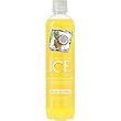 TalkingRain Sparkling ICE Coconut Pineapple, 17-Ounce Bottles (Pack of 12)