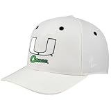 Zephyr Miami Hurricanes White Flurry Fitted Hat