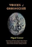 Voices of Gnosticism: Interviews with Elaine Pagels, Marvin Meyer, Bart Ehrman, Bruce Chilton and Other Leading Scholars