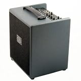 Schertler David Acoustic Instrument Combo Amplifier