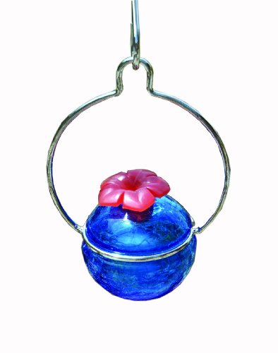 Bird Brain Humdinger Feeder Aqua