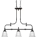 Progress Lighting P4269-77 3-Light Renovations Linear Chandelier, Forged Bronze