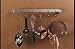 Rogar Copper Straight Wall Rack with Copper Hooks 24-in.